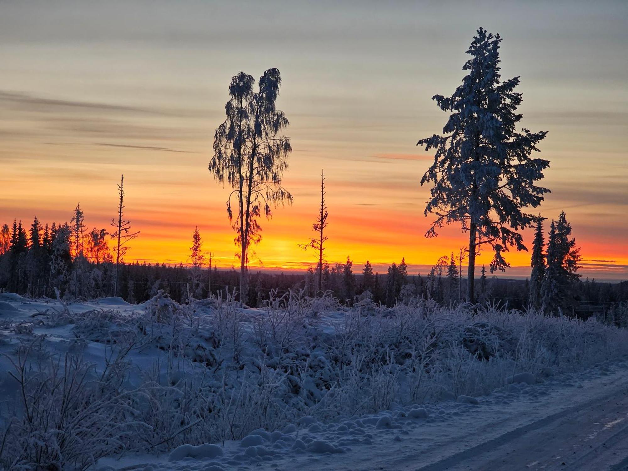 Hotellet I Joern Ab Jorn Esterno foto